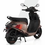 Chetak C2501 Black Accessories Kit