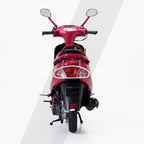 Pep With Tail Light Guard Accessories Kit